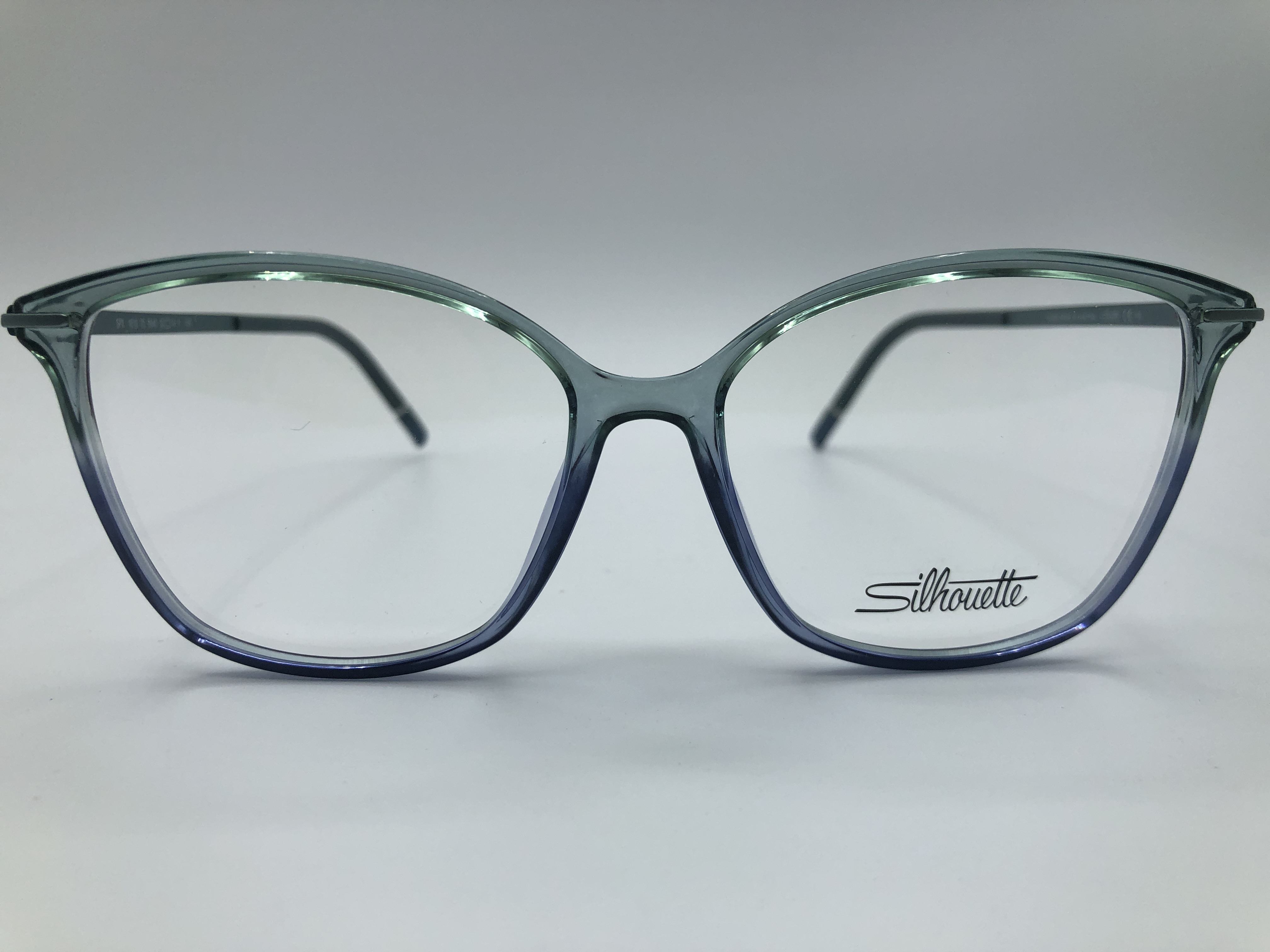 Silhouette 1619 5640