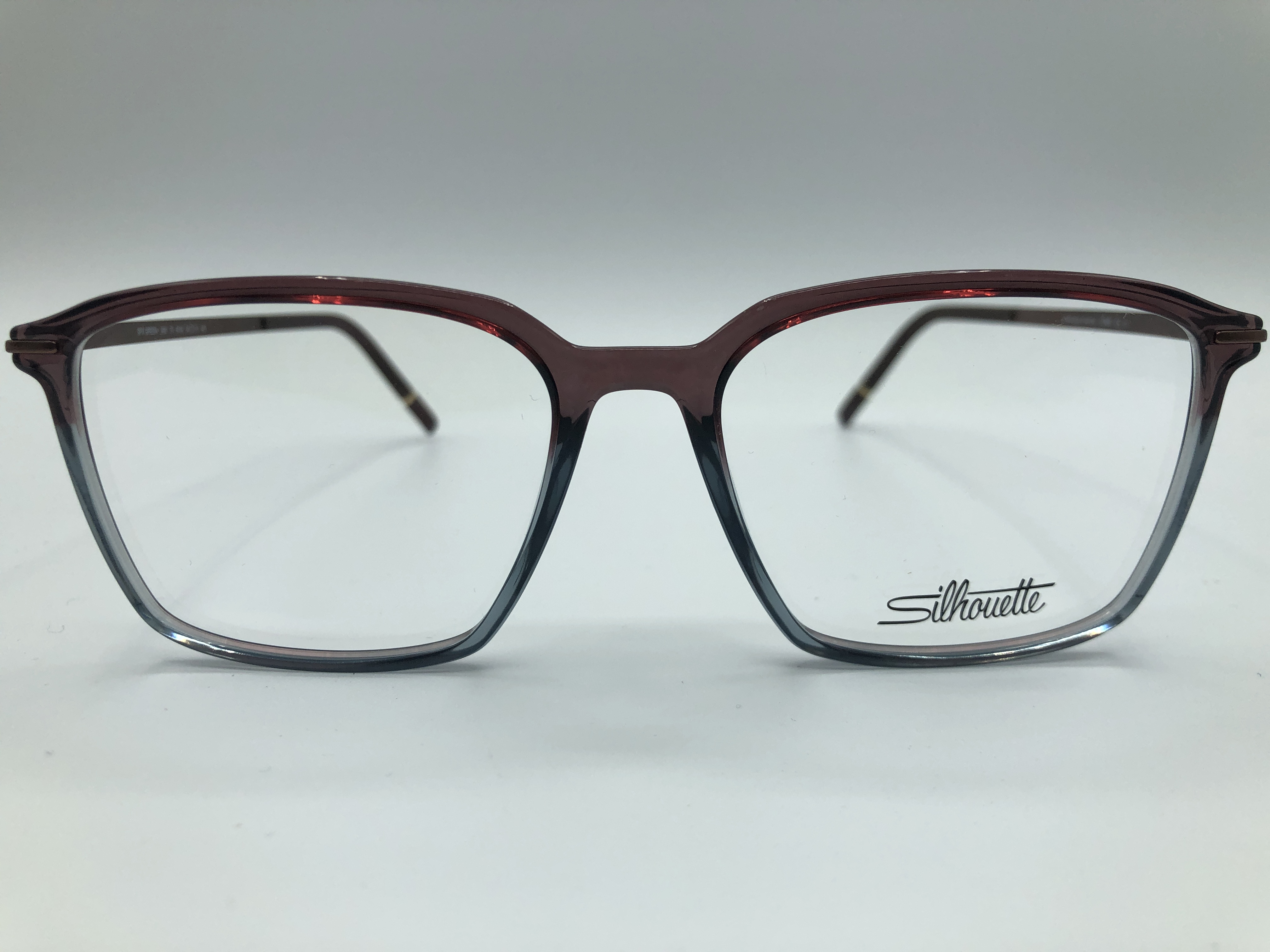Silhouette 2991 6140